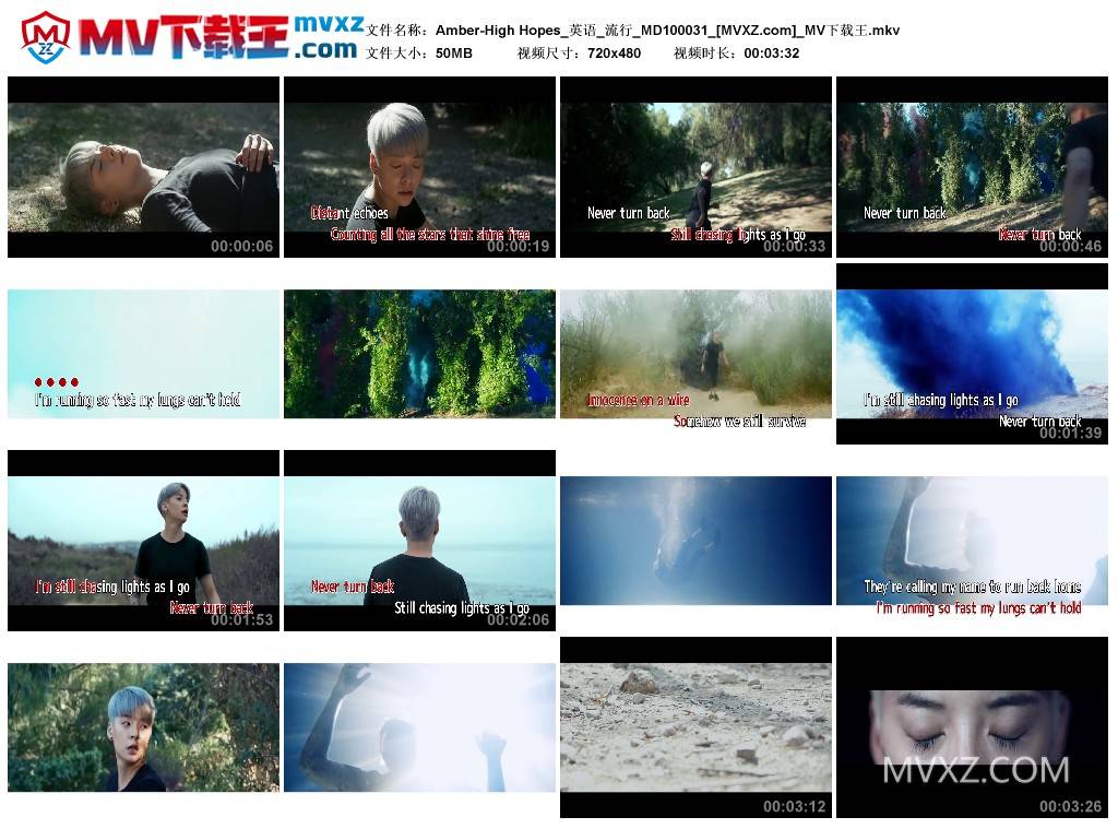 Amber-High Hopes_英语_流行_MD100031